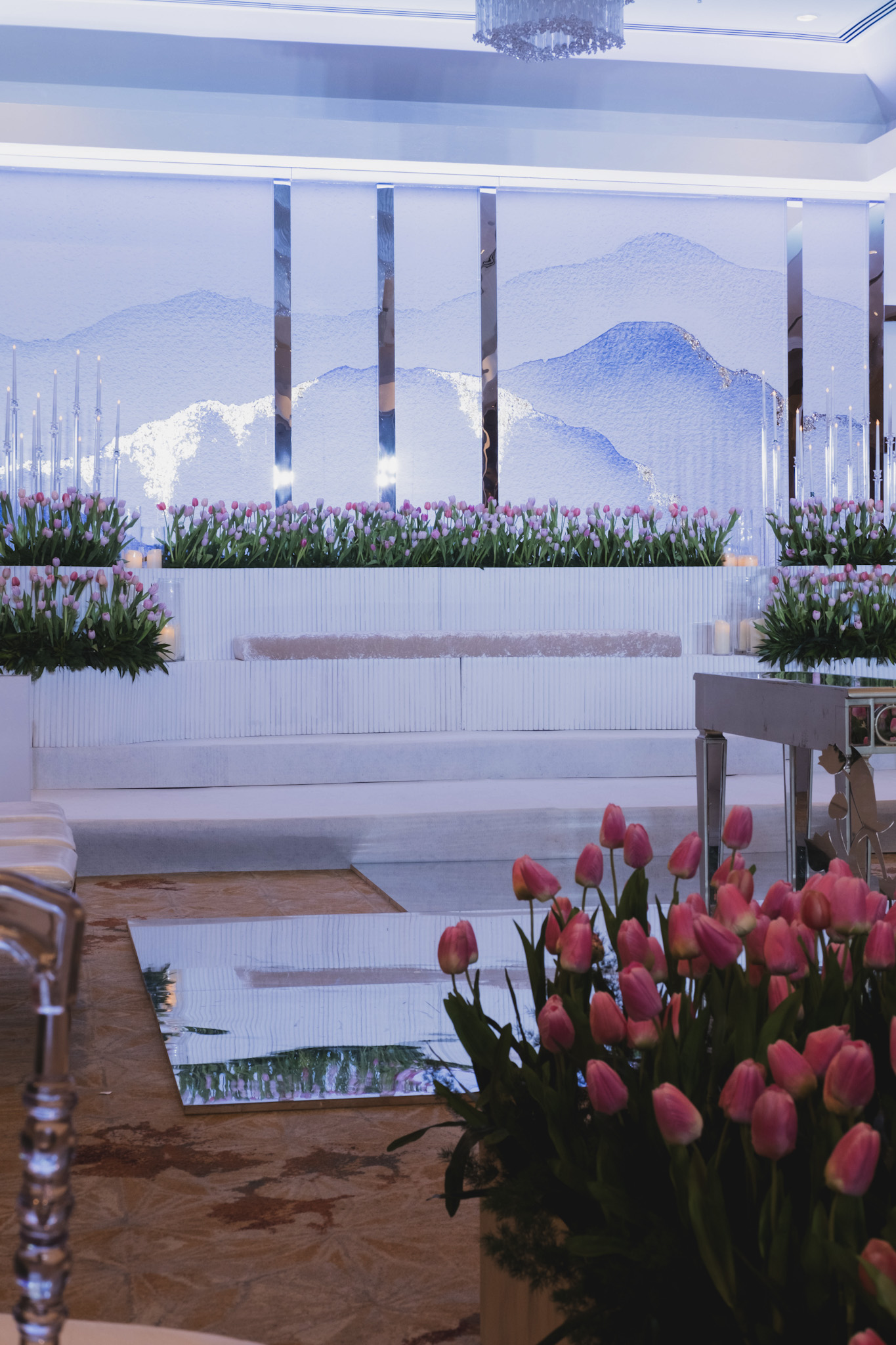 TULIPS