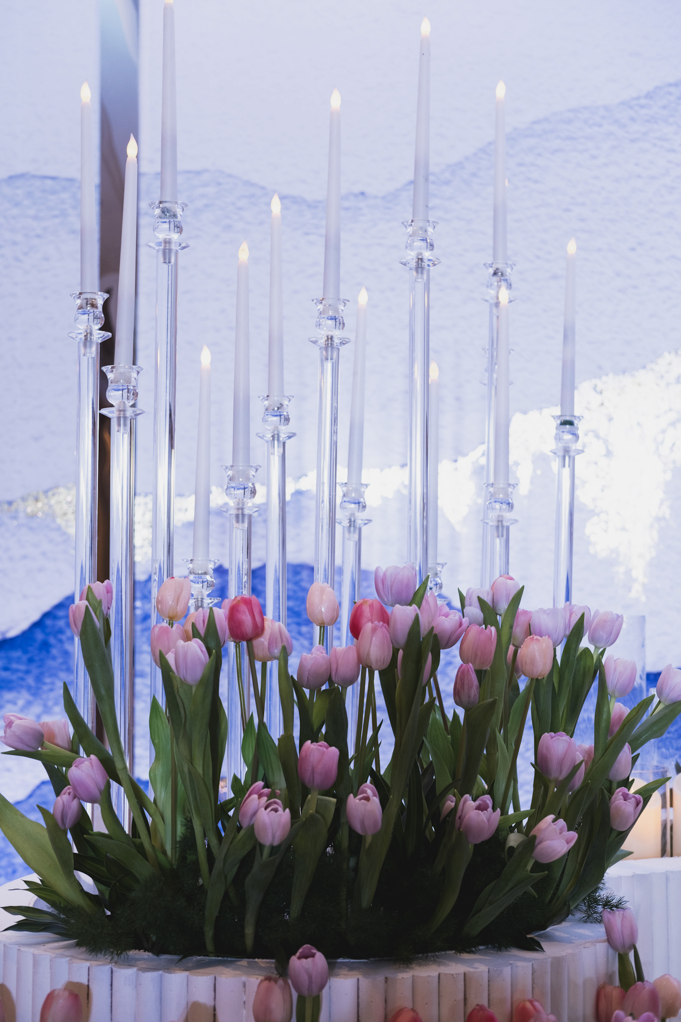 TULIPS