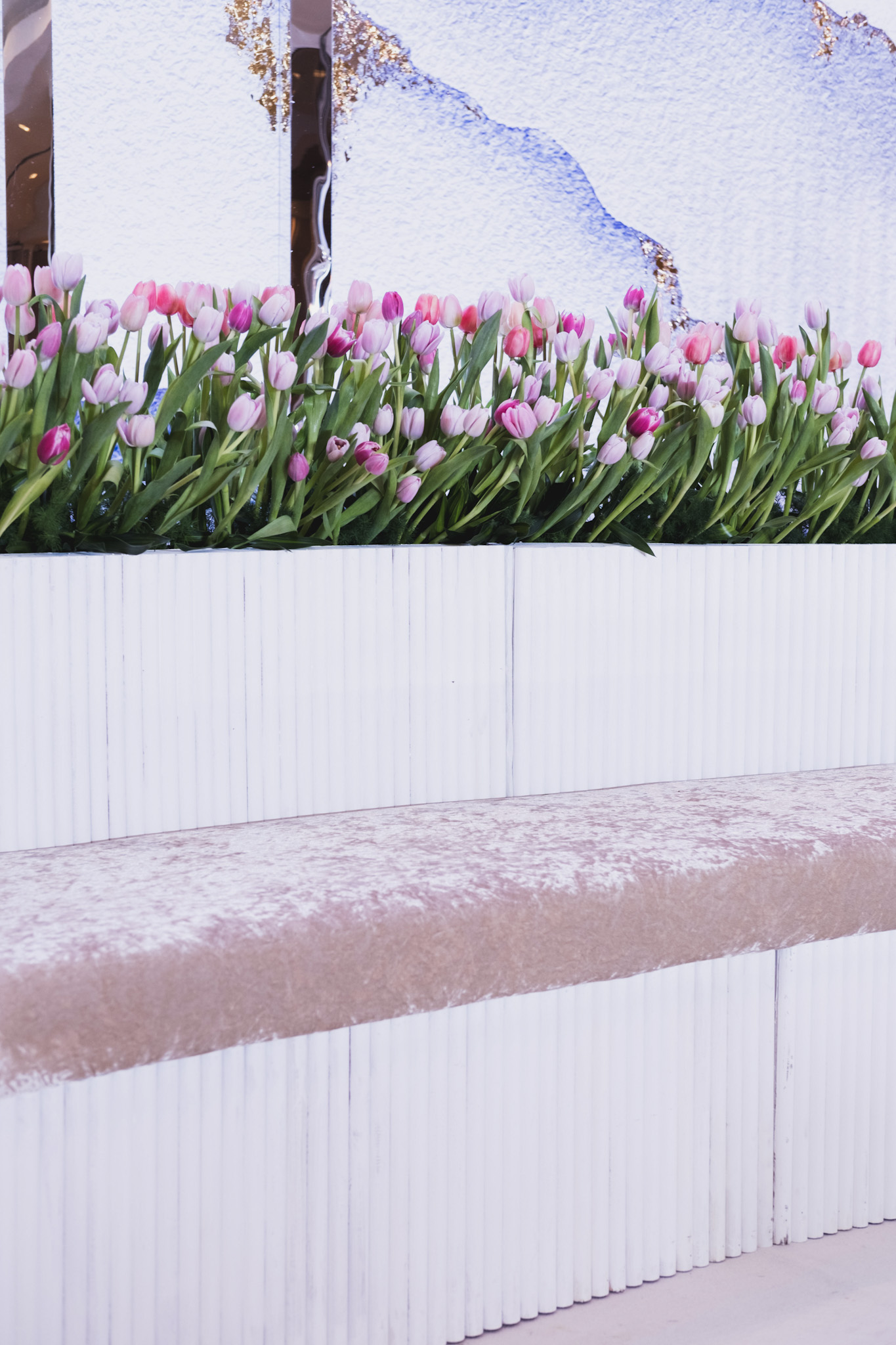 TULIPS