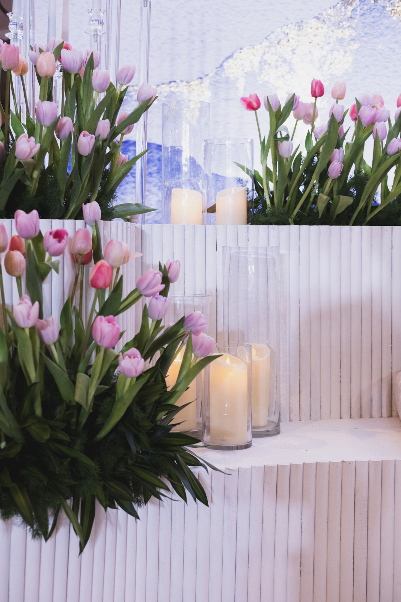 TULIPS