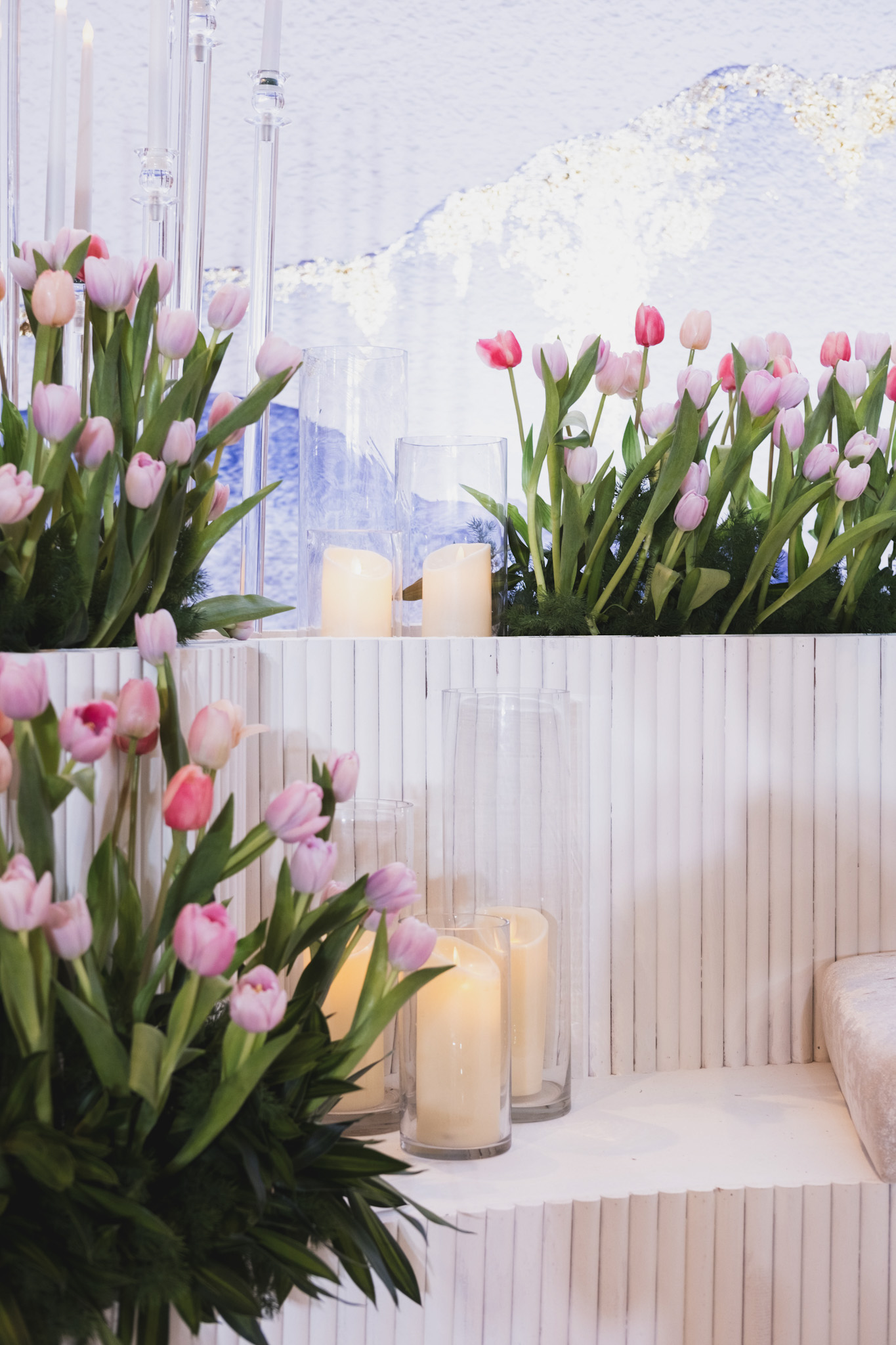 TULIPS