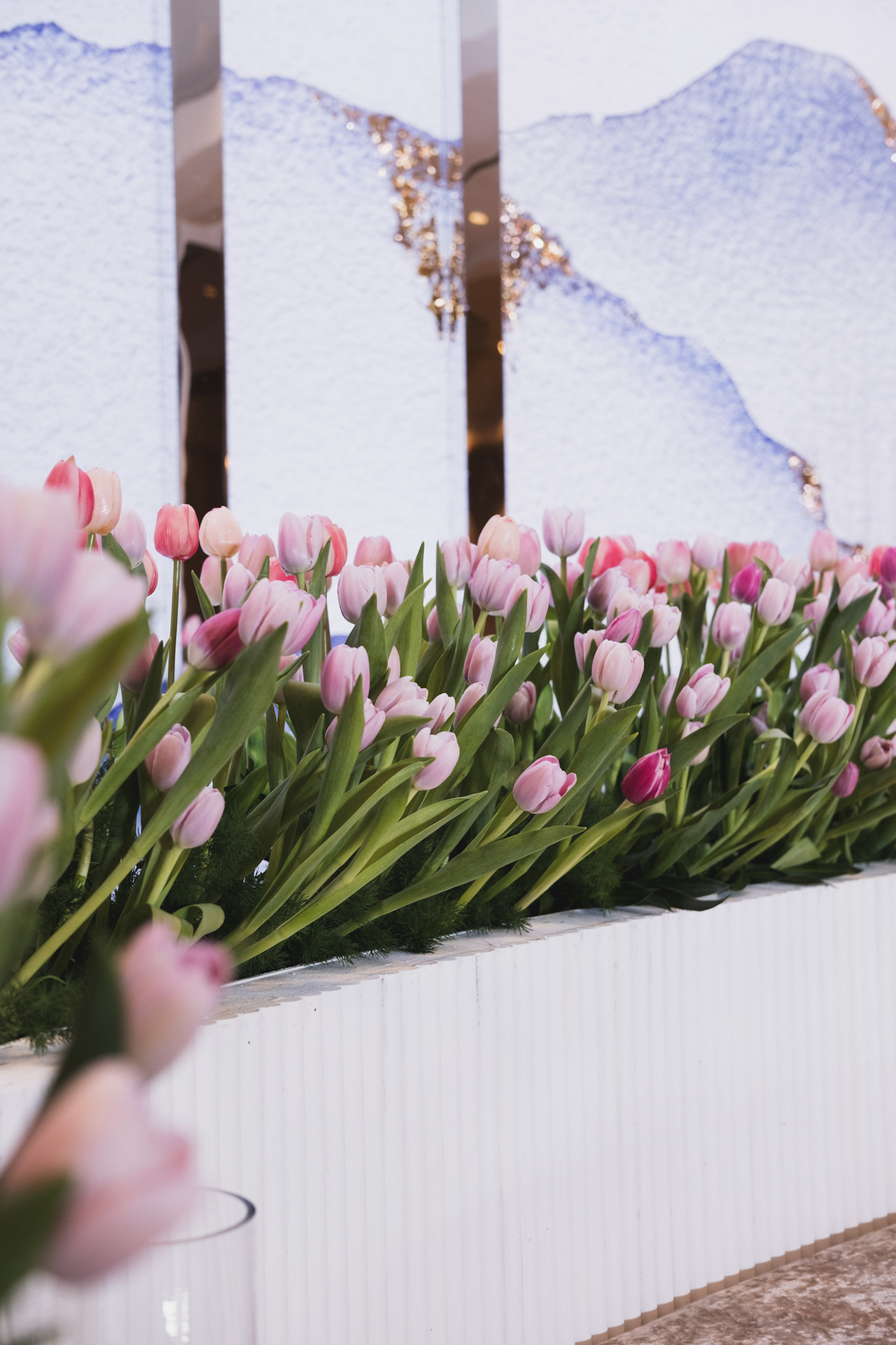 TULIPS