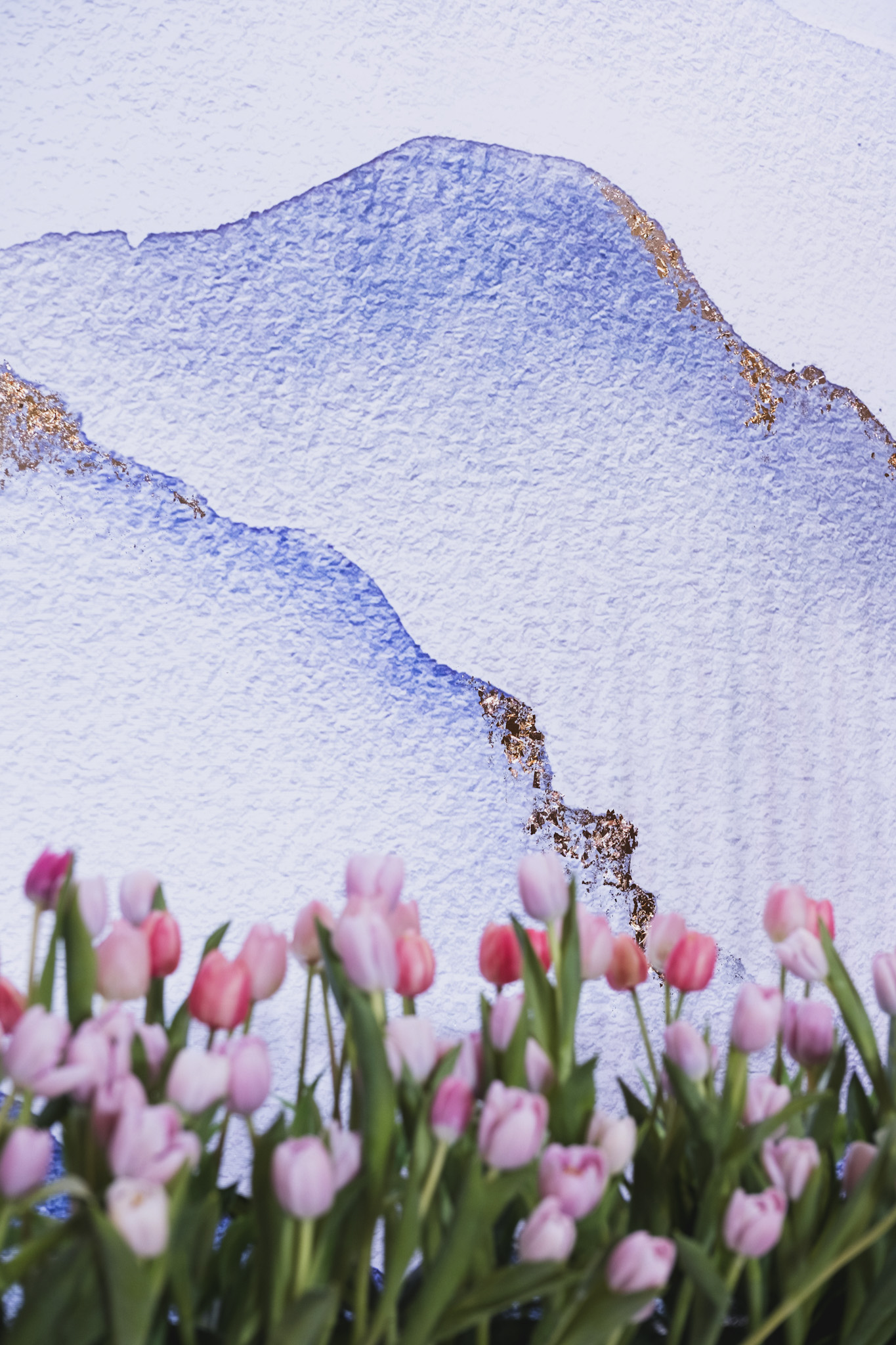 TULIPS