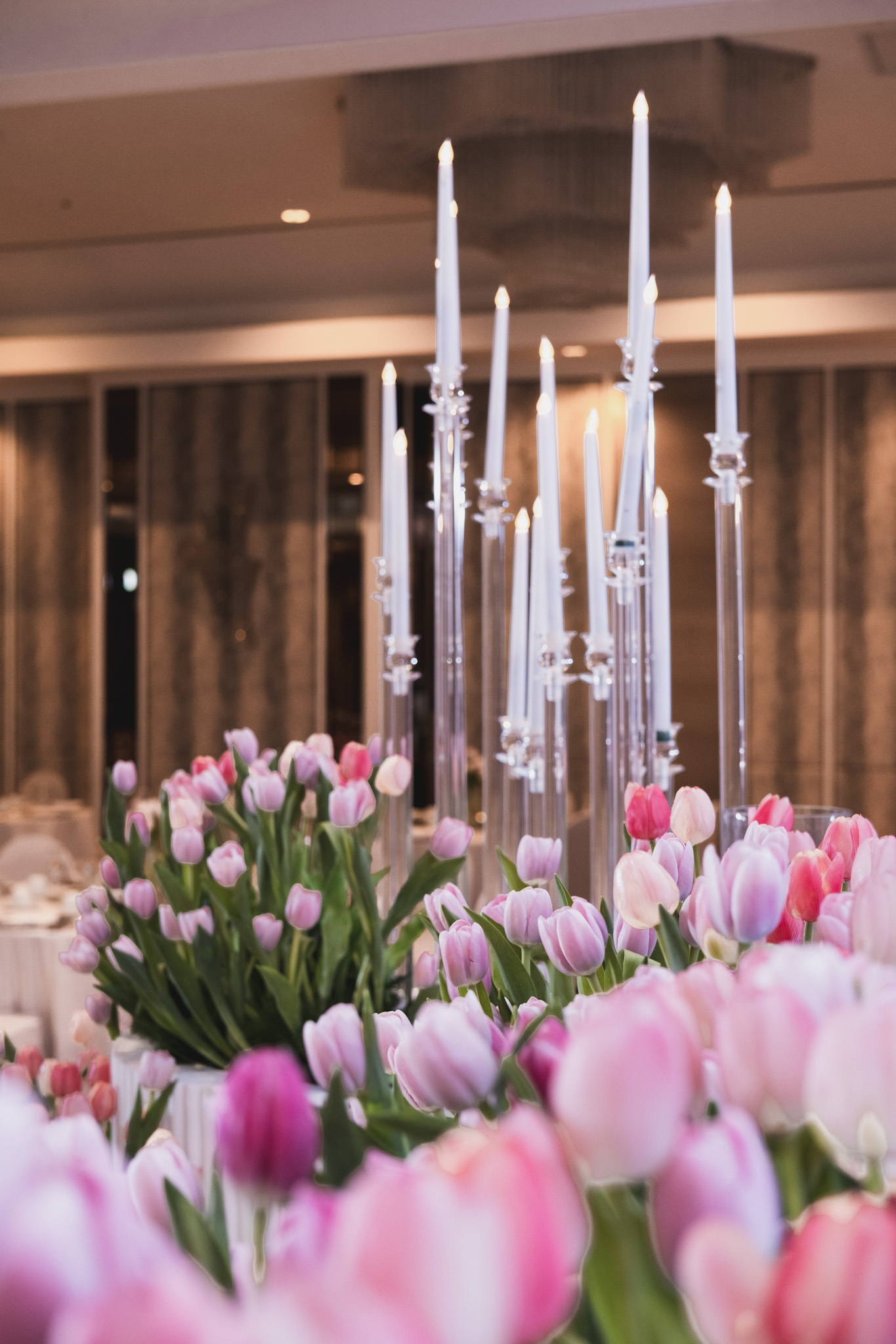 TULIPS