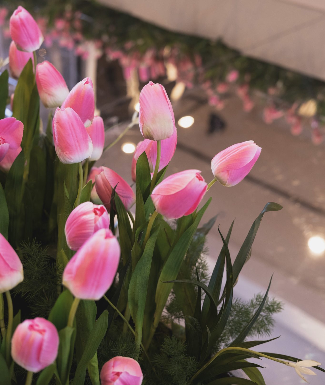 TULIPS