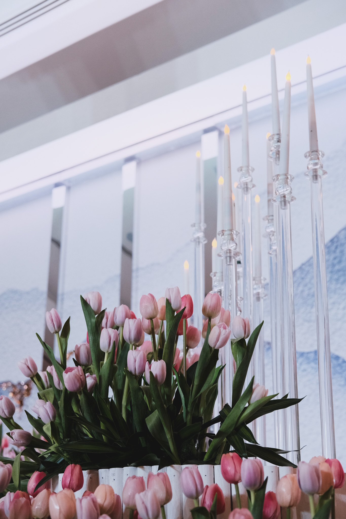 TULIPS
