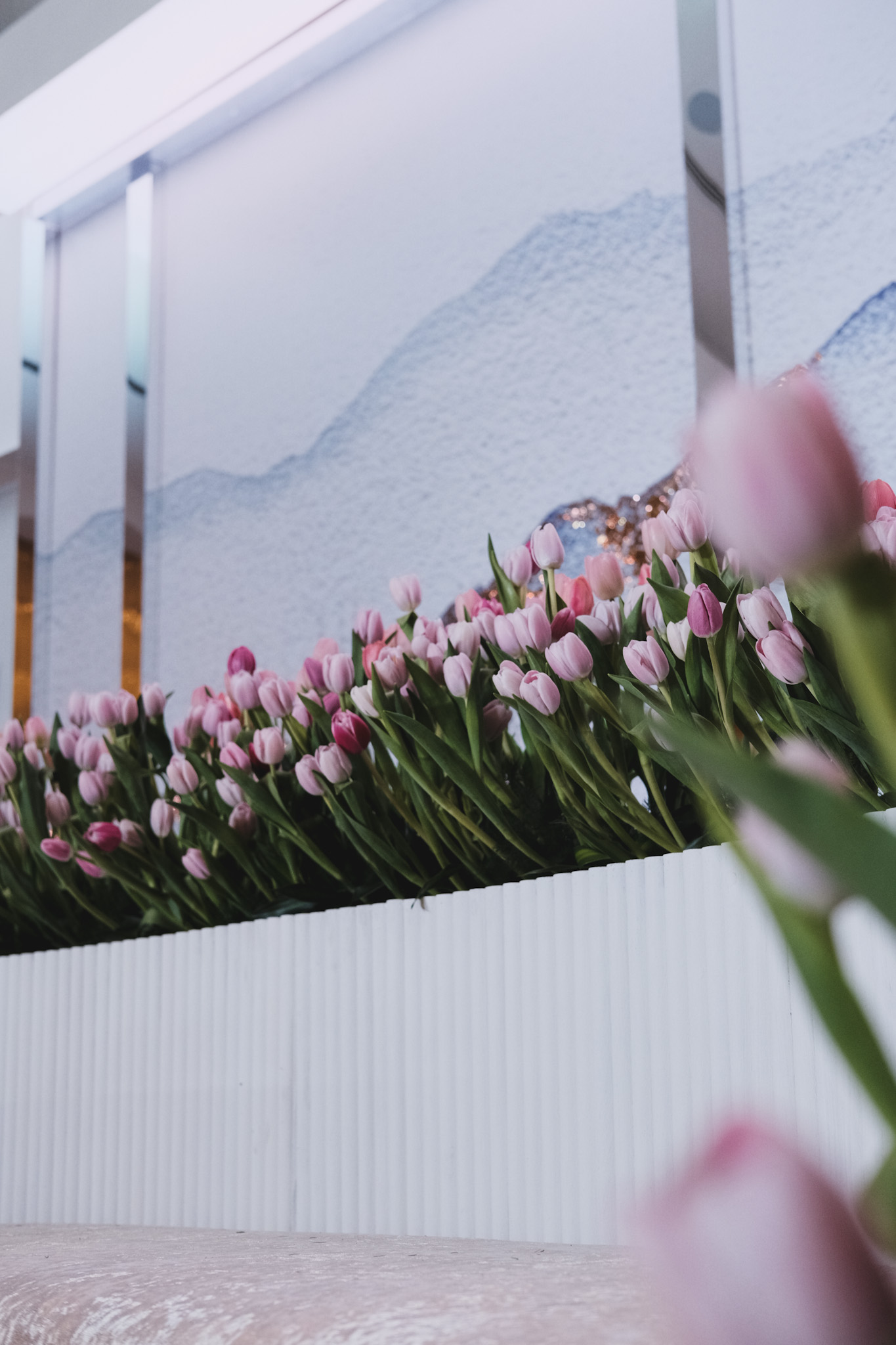 TULIPS