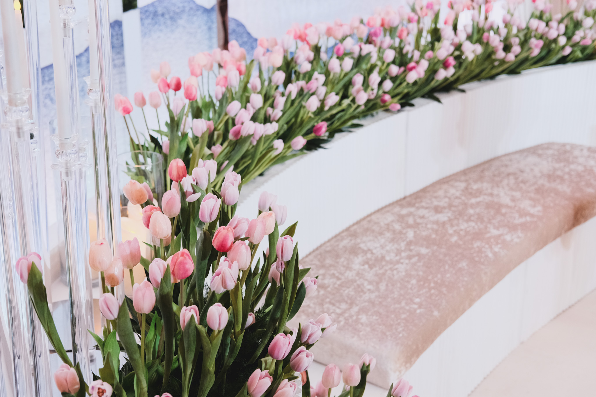 TULIPS