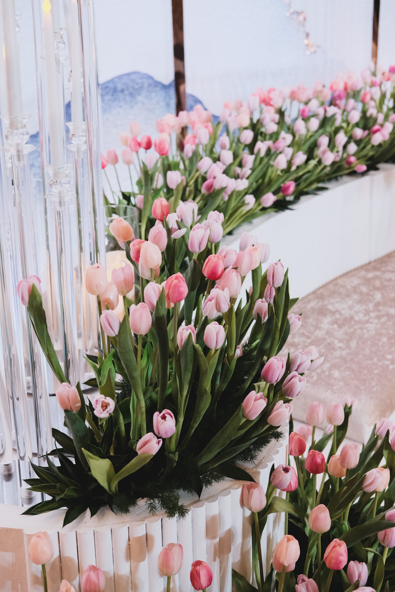 TULIPS