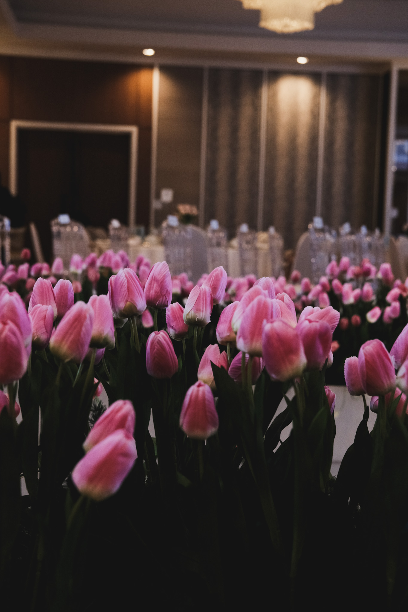 TULIPS